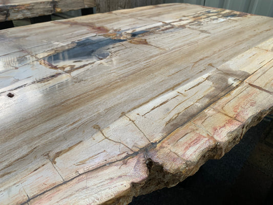 Versteend houten tafelbladen