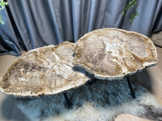 Set salontafels fossiel hout