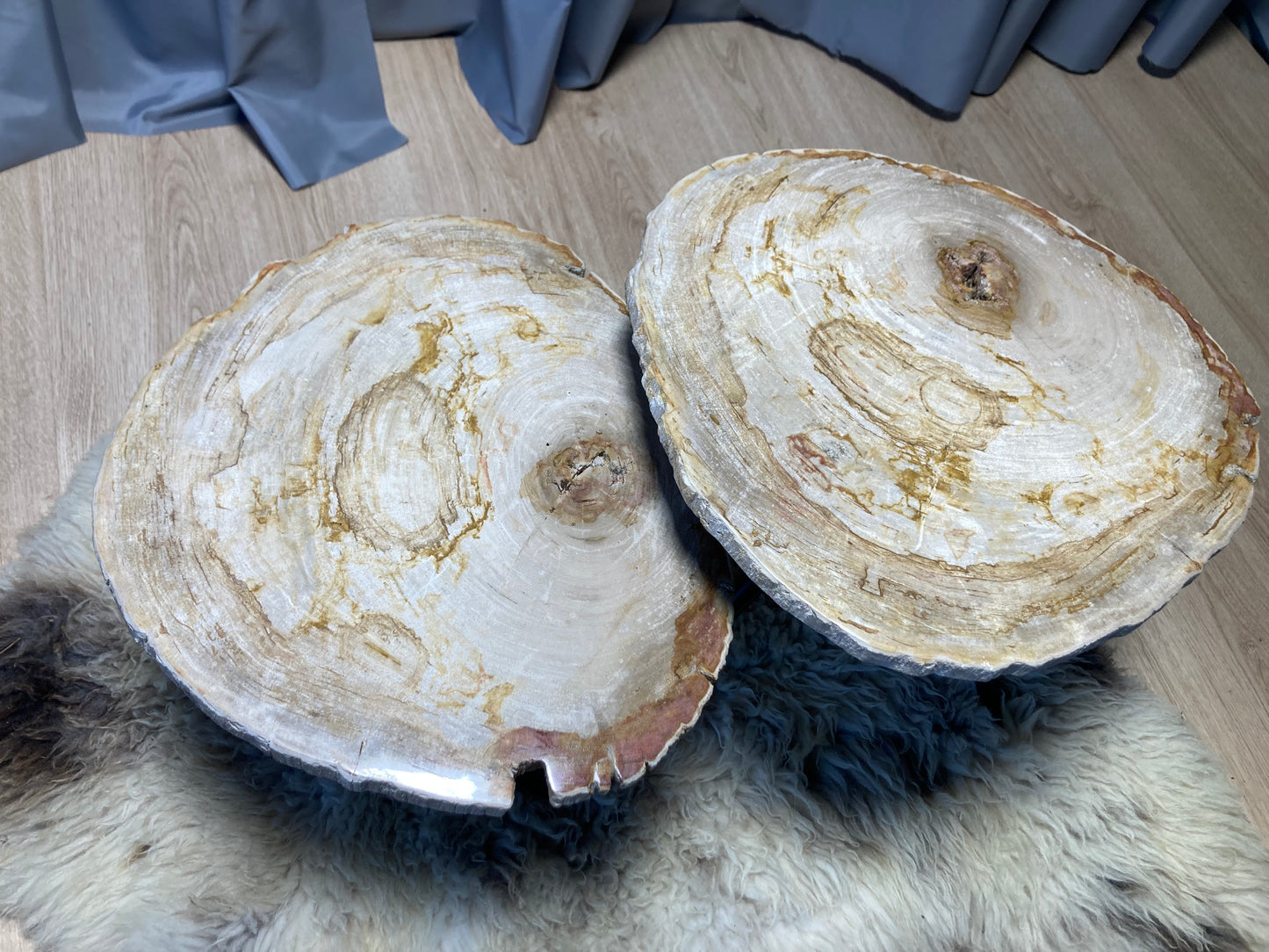 Versteend hout salontafel