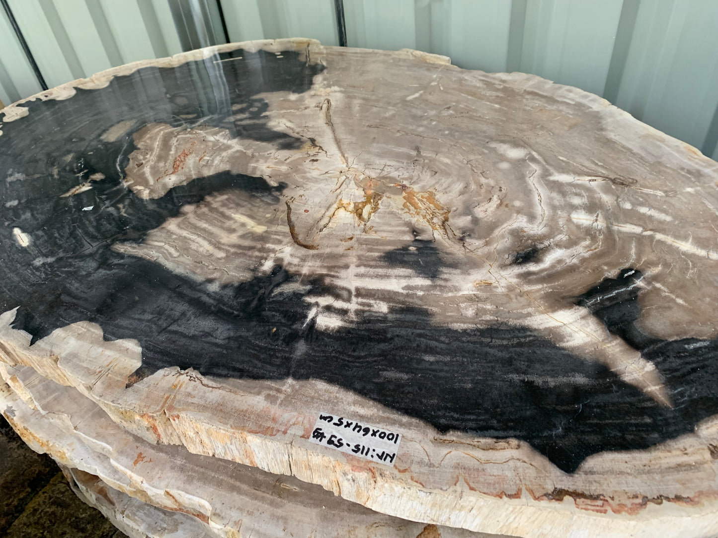 Tischplatte aus versteinertem Holz 03