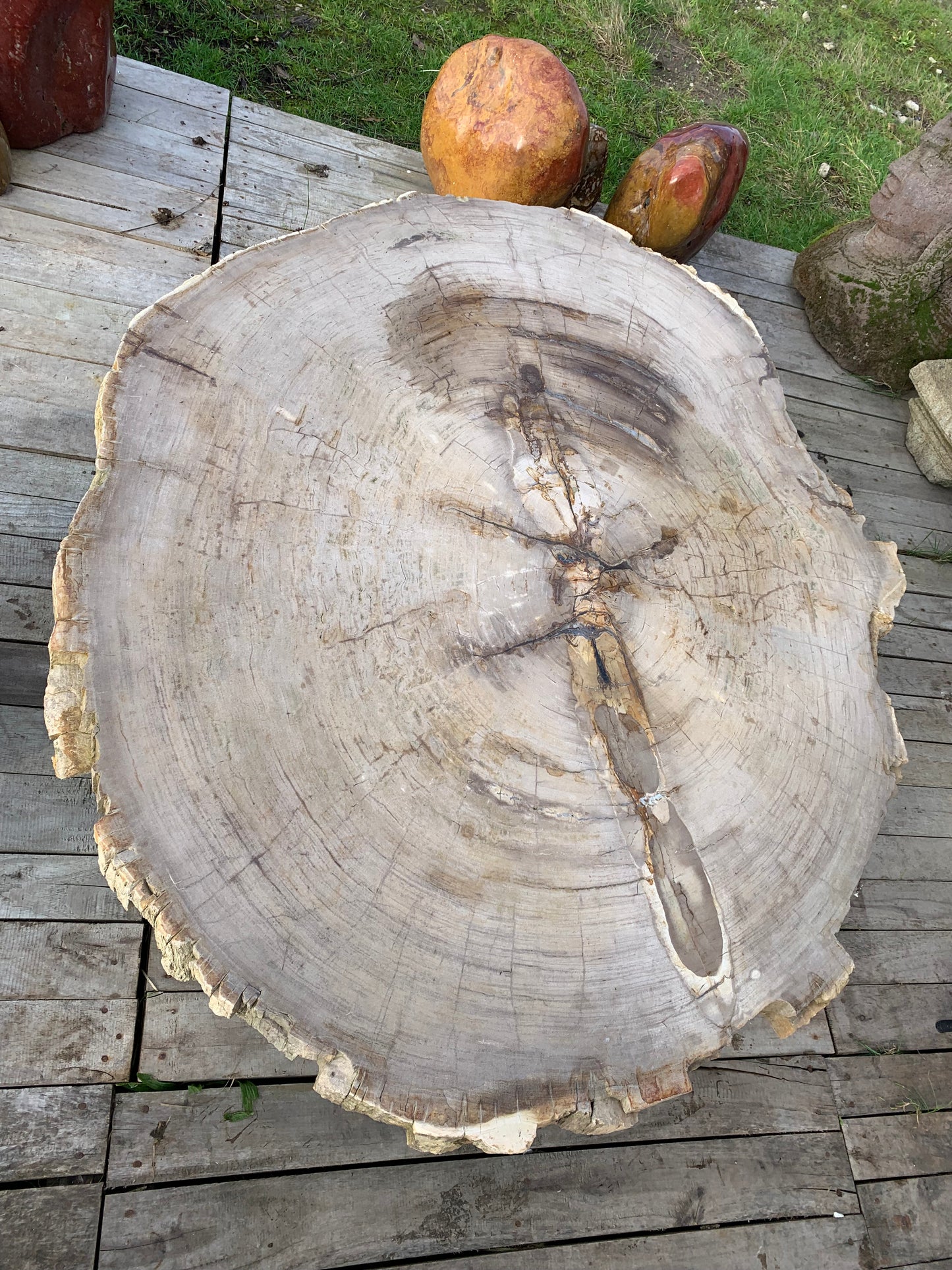 Tischplatte aus versteinertem Holz 04