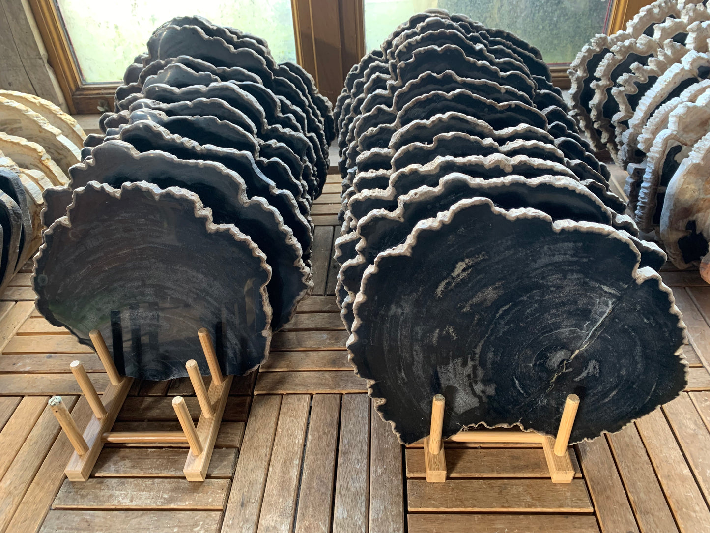 Versteend hout schijf