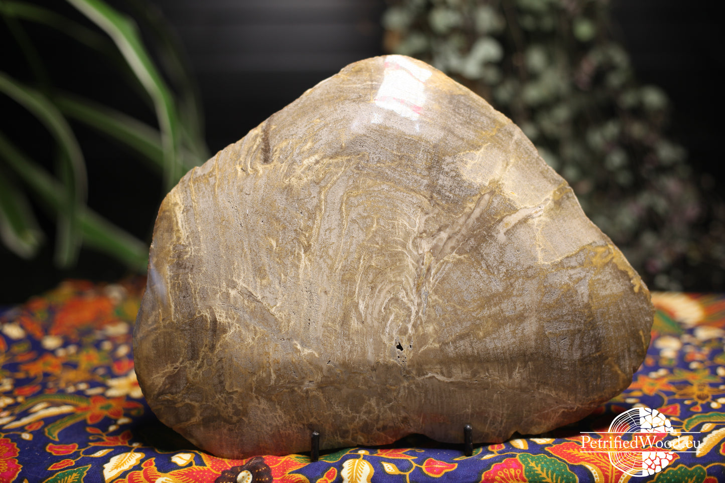 Bord van versteend hout