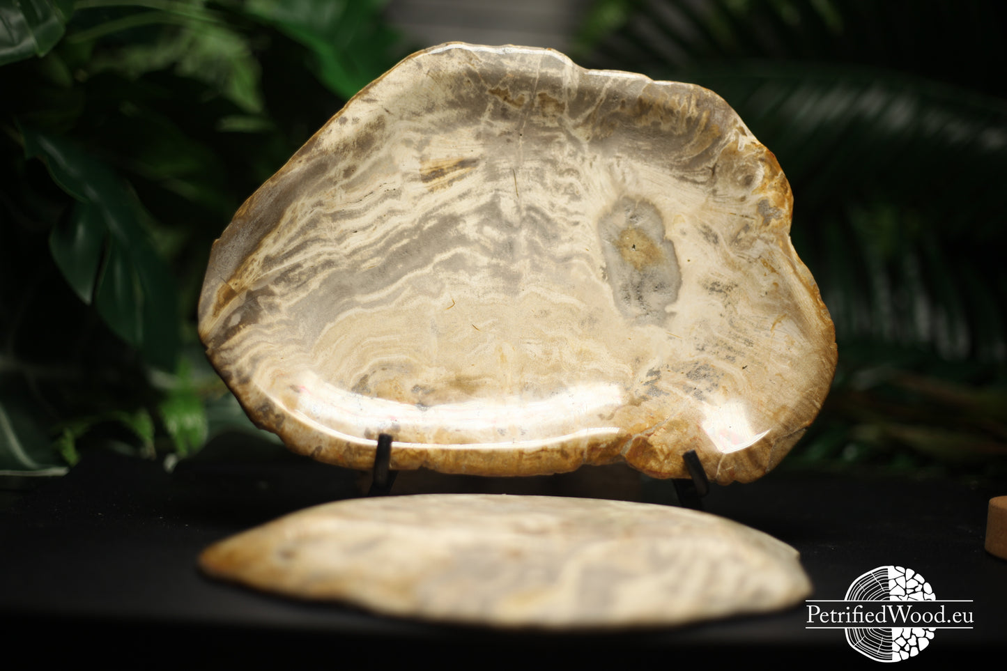 Wit bord versteend hout