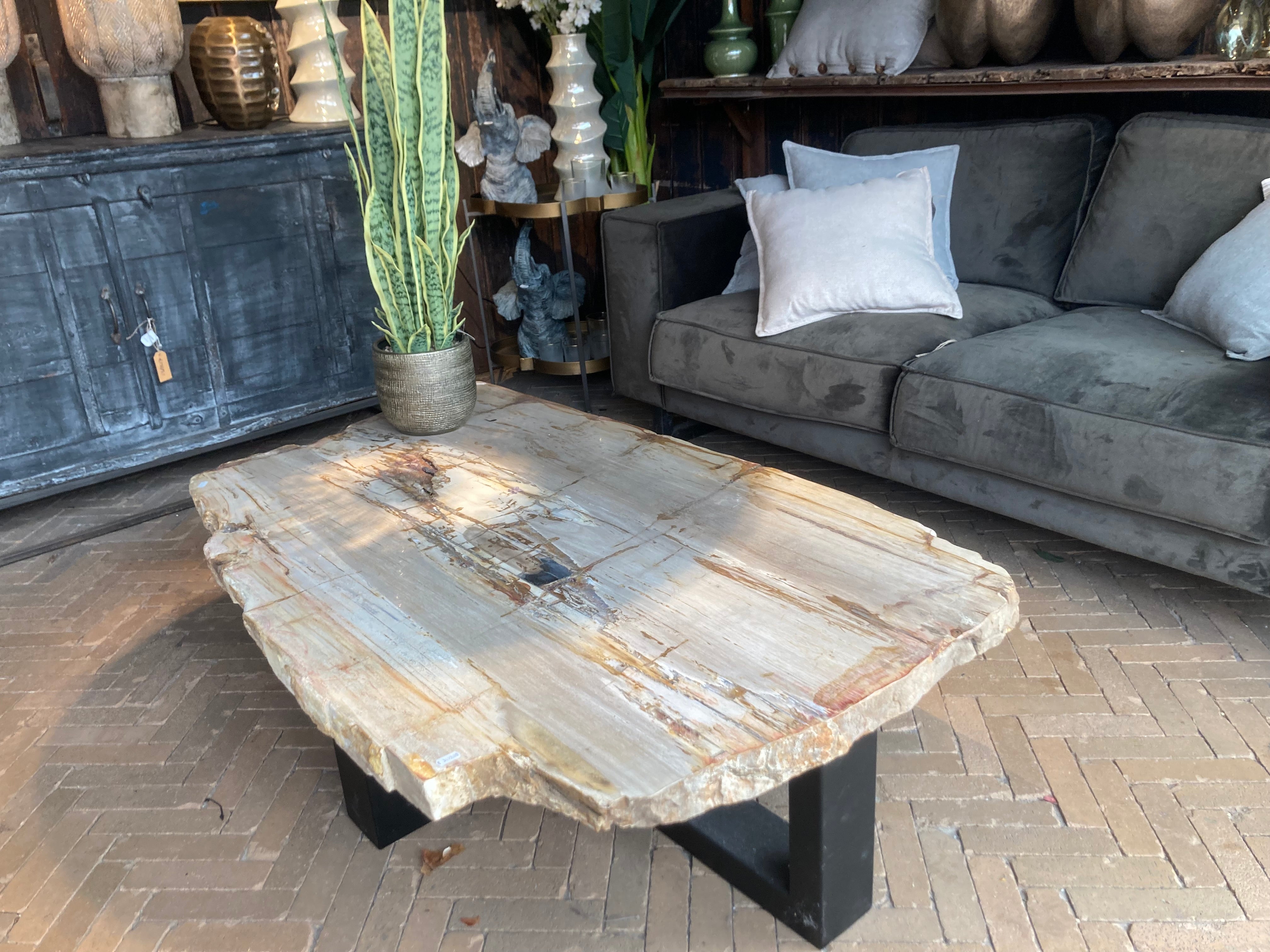 Petrified wood store table top