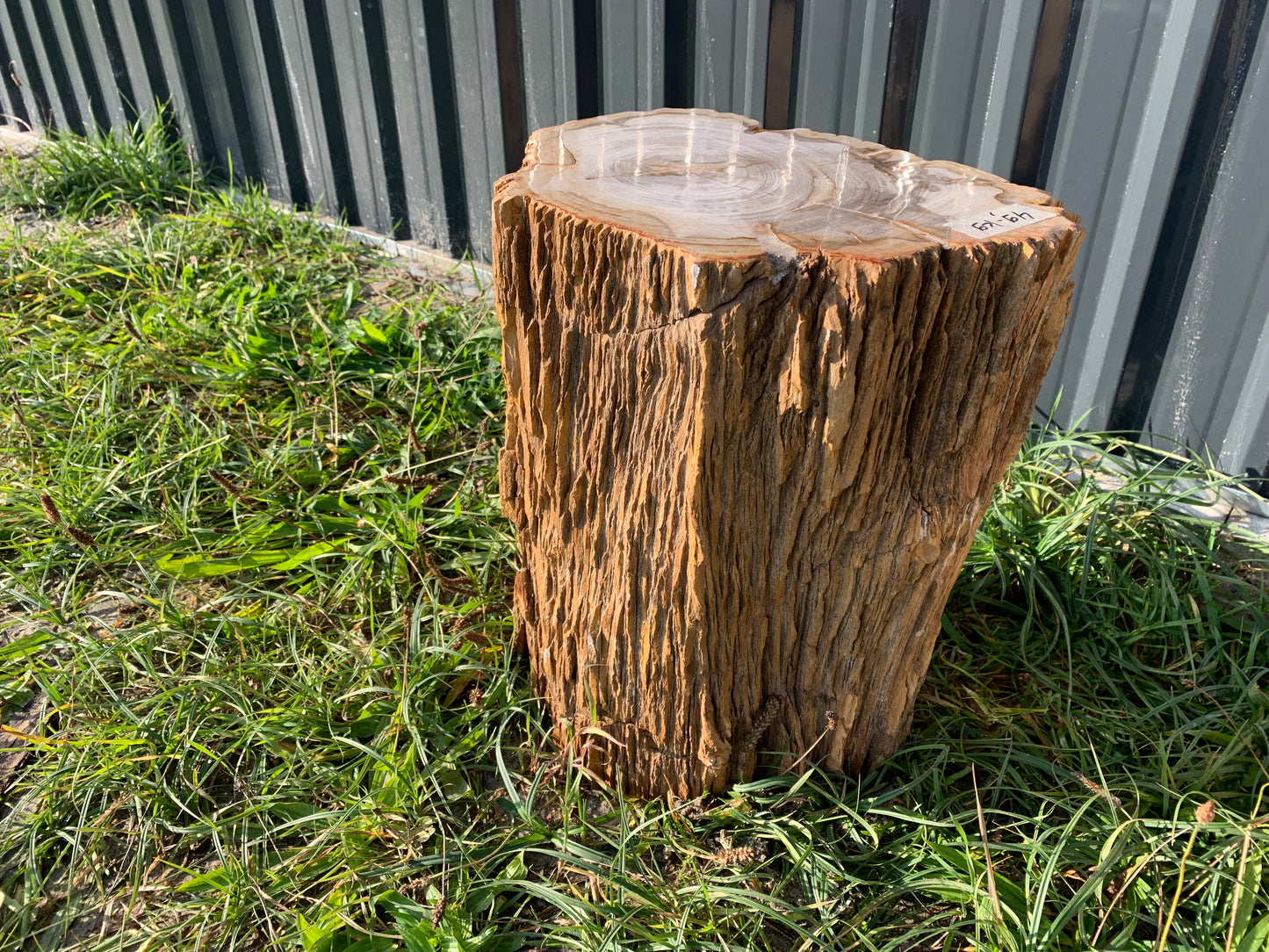 Petrified wood plinth 01