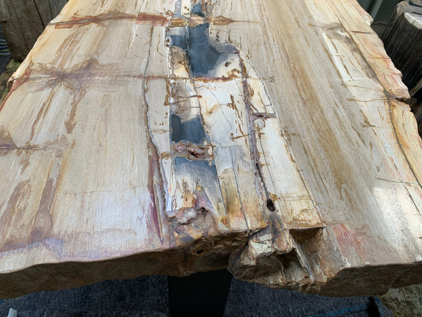 Petrified wood table top 01 – PetrifiedWood.eu