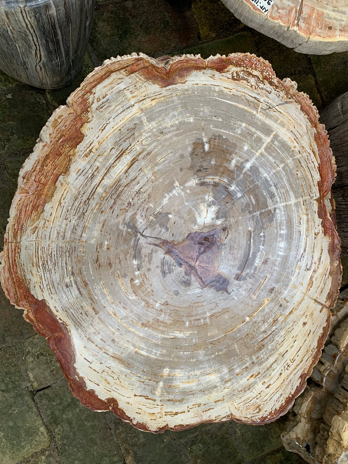 Tischplatte aus versteinertem Holz 02