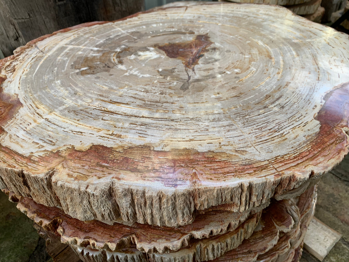 Petrified wood table top 02