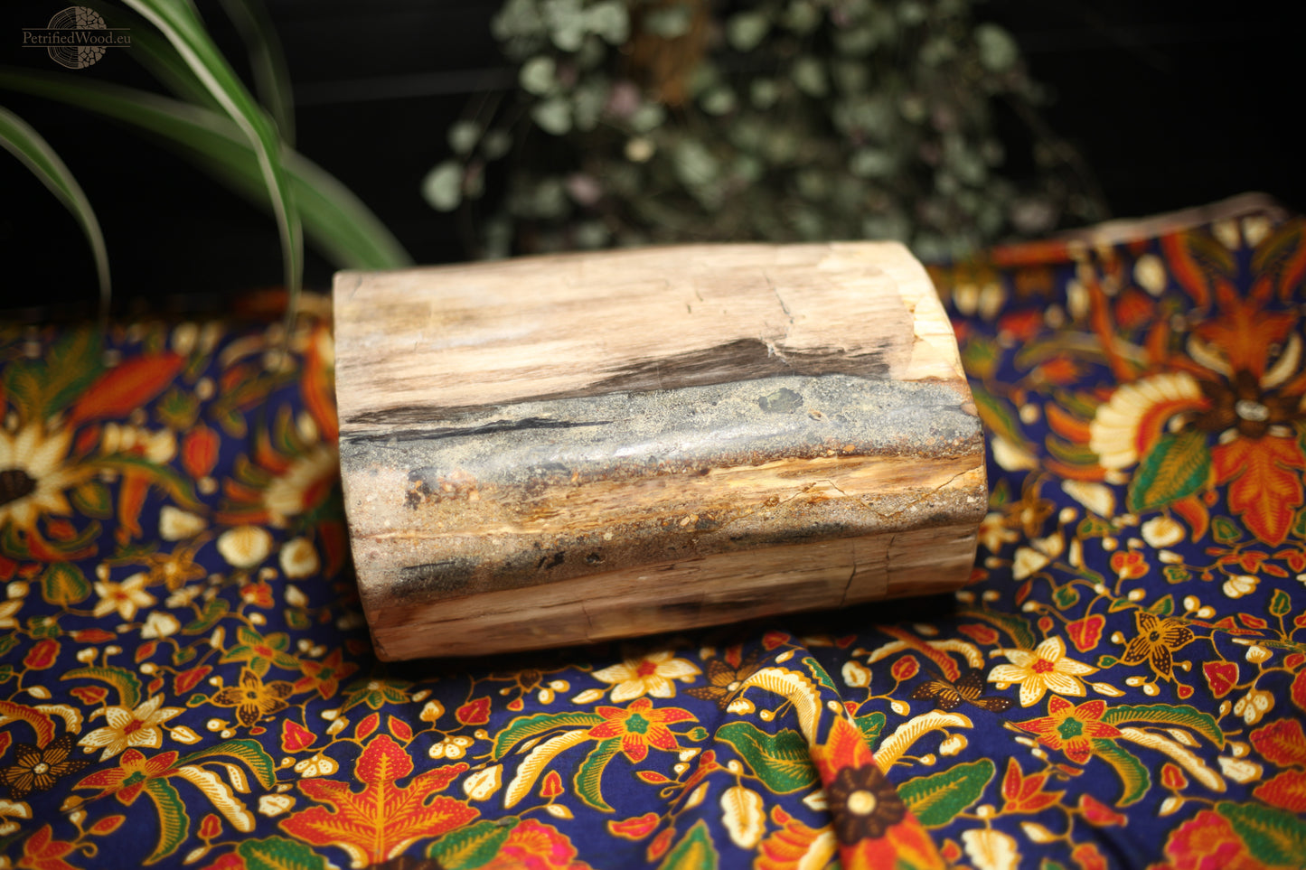 Full polish petrified wood plinth